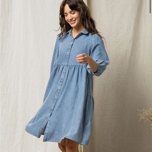 Denim modest dress